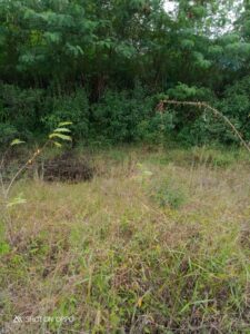 IMG-20230330-WA0058