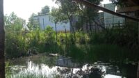 IMG-20240913-WA0008