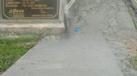 IMG-20250712-WA0077