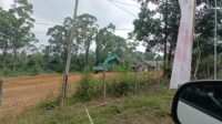 IMG-20250728-WA0004