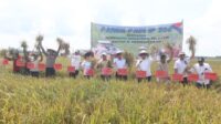 IMG-20250725-WA0077-990x660