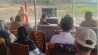 Oplus_16908288